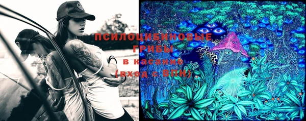 МДПВ Гусиноозёрск