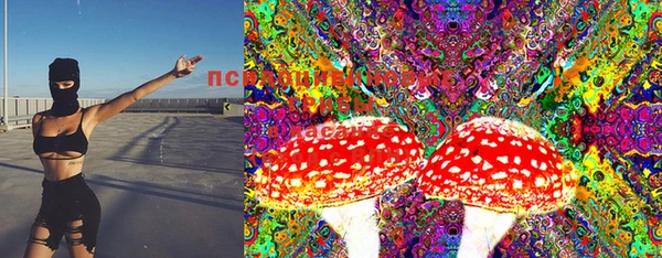 МДПВ Гусиноозёрск