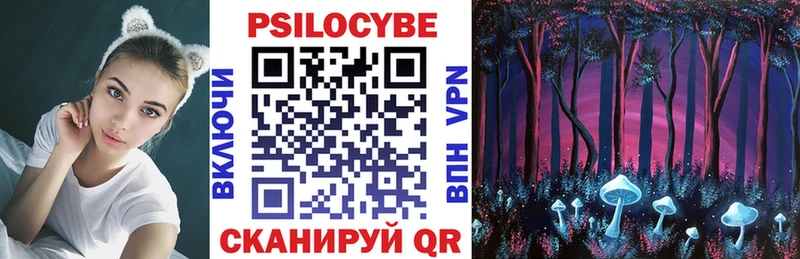 Купить  Солнечногорск  Псилоцибиновые грибы MAGIC MUSHROOMS 